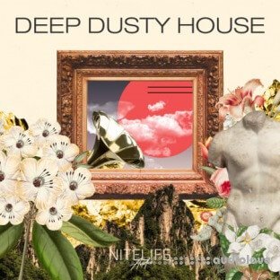 NITELIFE Audio Deep Dusty House