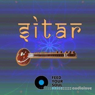 Feed Your Soul Music Sitar