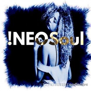 Loops 4 Producers !NeoSoul