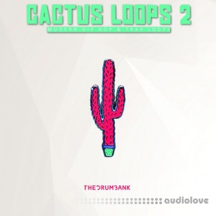 Dynasty Loops Cactus Loops 2