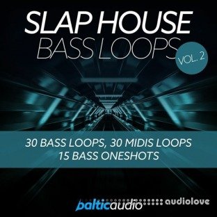 Baltic Audio Slap House Bass Loops Vol.2