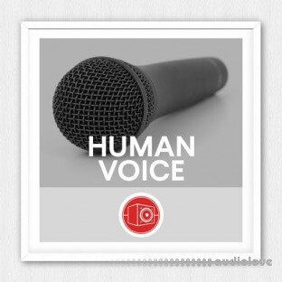 Big Room Sound Human Voice