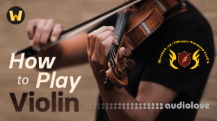 TTC How to Play the Violin