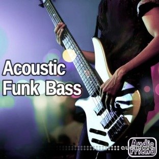 AudioFriend Acoustic Funk Bass