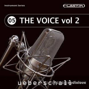Ueberschall The Voice Vol.2