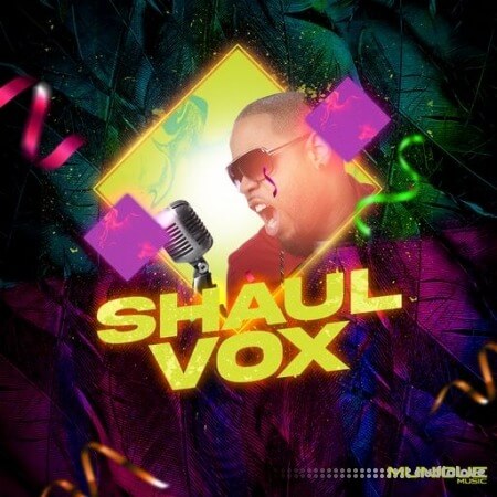 Innovative Samples Shaul Vox Vol.1