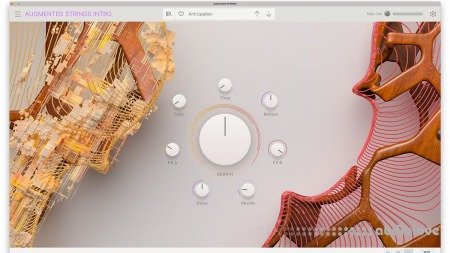 Arturia Augmented STRINGS v1.0.0 WiN MacOSX