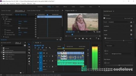 SkillShare Core Basics Of Adobe Premiere Pro For Beginners