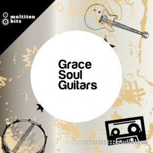 Multiton Bits Grace Soul Guitars