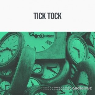 344 Audio Tick Tock