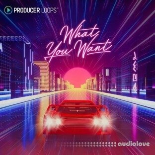Producer Loops What You Want