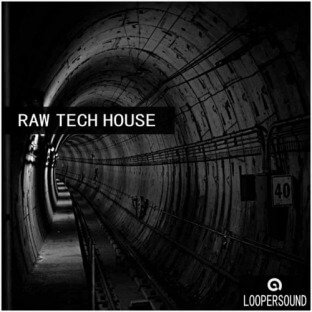 Loopersound Raw Tech House