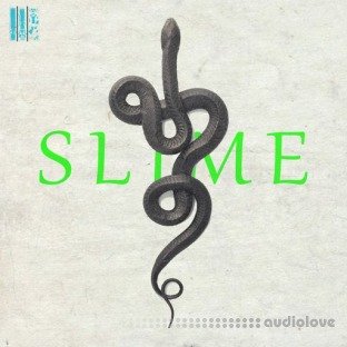 Loops 4 Producers Slime Vol.1