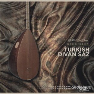 EarthTone Turkish Divan Saz