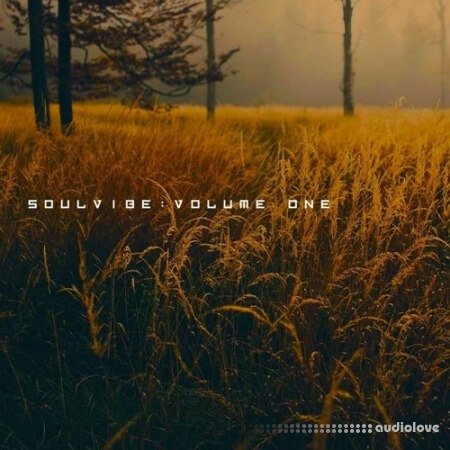 KAN Samples Soulvibe Vol.1