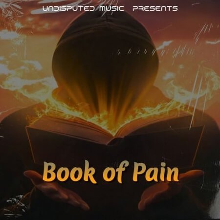 Loops 4 Producers Book Of Pain
