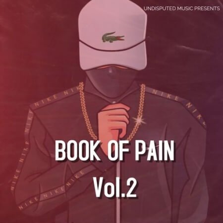Loops 4 Producers Book Of Pain Vol.2