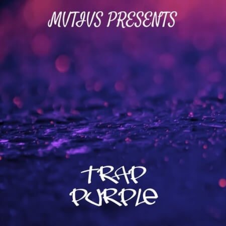 Loops 4 Producers Trap Purple