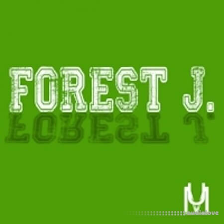 Loops 4 Producers Forest J