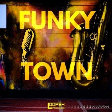 Loops 4 Producers Funky Town