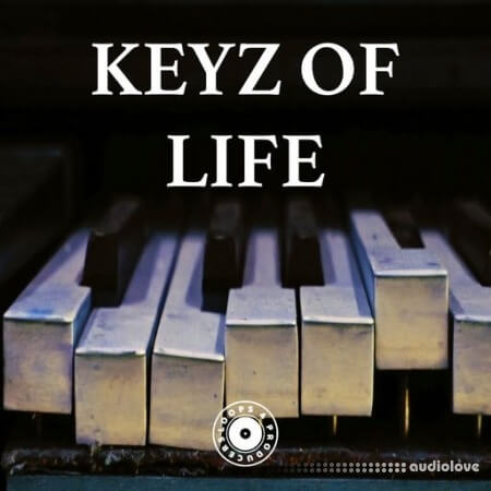 Loops 4 Producers Keyz Of Life