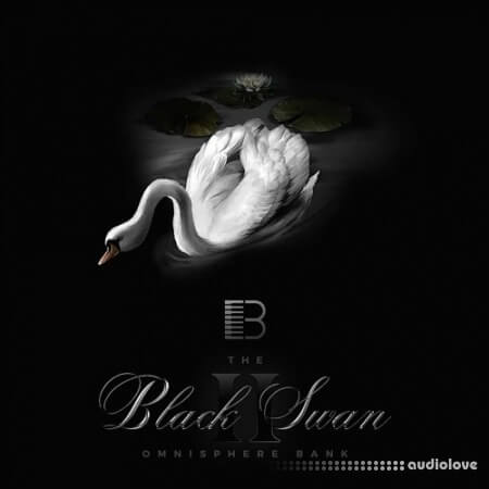 Brandon Chapa Black Swan ll