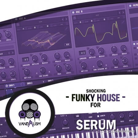 Vandalism Sounds Shocking Funky House For Serum Synth Presets