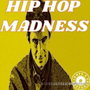 Loops 4 Producers Hip Hop Madness