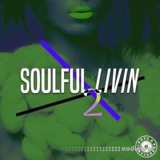 Loops 4 Producers Soulful Livin 2