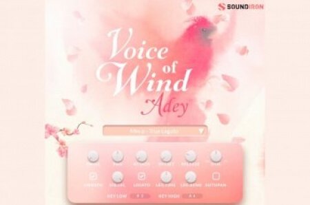 Soundiron Voice Of Wind Adey Content