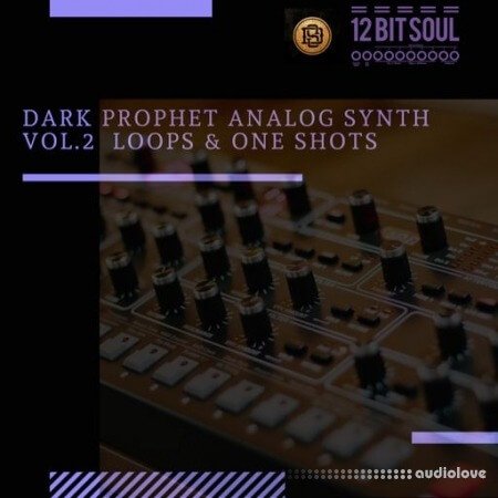 Divided Souls Dark Prophet Analog Synth Vol.2