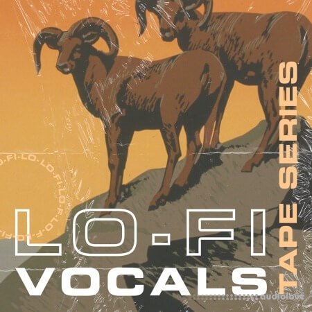 Lazerdisk Tape Series Lo-Fi Vocals WAV