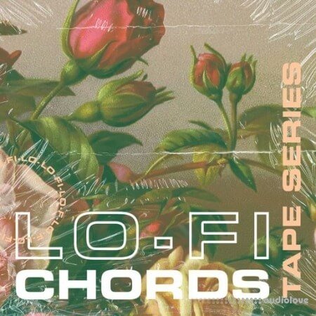 Lazerdisk Tape Series Lo-Fi Chords WAV