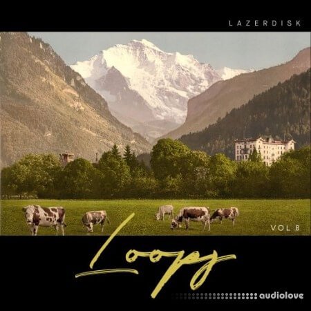 Lazerdisk Loops Vol.8 WAV