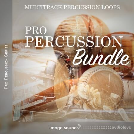 Steinberg Pro Percussion Bundle