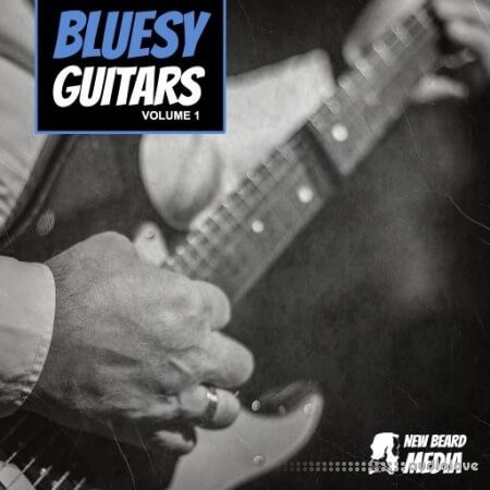 New Beard Media Bluesy Guitars Vol.1