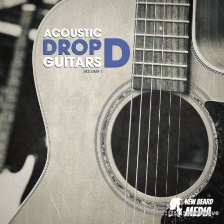 New Beard Media Acoustic Drop D Guitars Vol.1