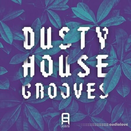 Ultimate Loops Dusty House Grooves