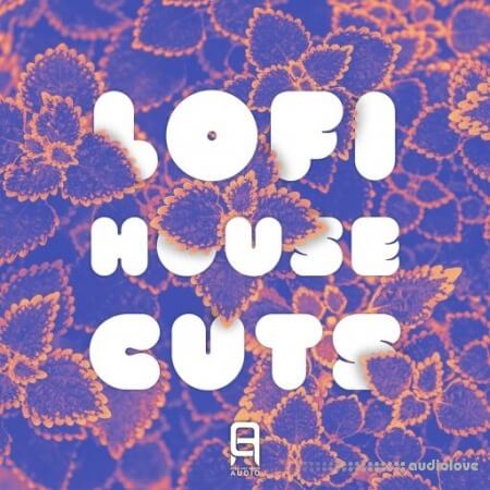 Ultimate Loops LoFi House Cuts