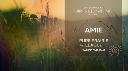 Truefire Tyler Grant's Song Lesson: Amie