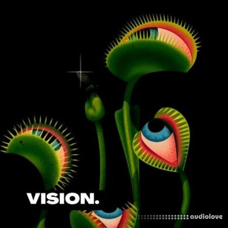 Lazerdisk Vision WAV