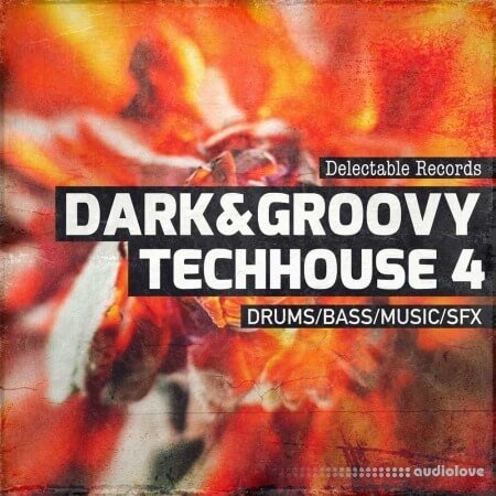 Delectable Records Dark And Groovy TechHouse 04 WAV