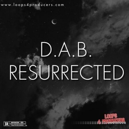Loops 4 Producers D.A.B. Resurrected