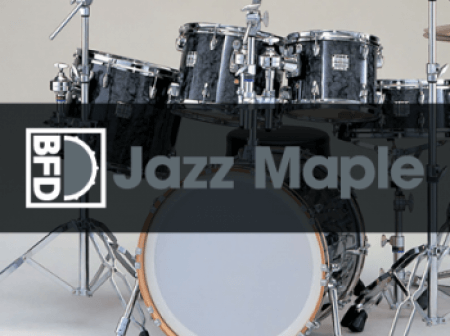 inMusic Brands BFD Jazz Maple Bonus Cymbals