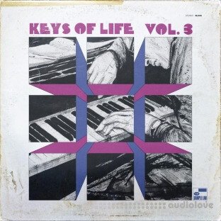 The Sample Lab Keys Of Life Volume 3 (Compositions)