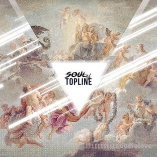 DRIVENSOUNDS Soul Of Topline
