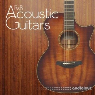 Patchbanks RnB Acoustic Guitars