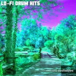 Toxic Samples LO FI Drum Hits