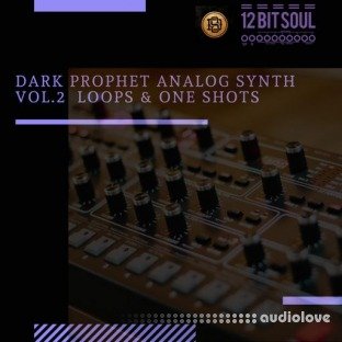 Divided Souls Dark Prophet Analog Synth Vol.2