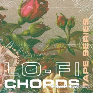 Lazerdisk Tape Series Lo-Fi Chords